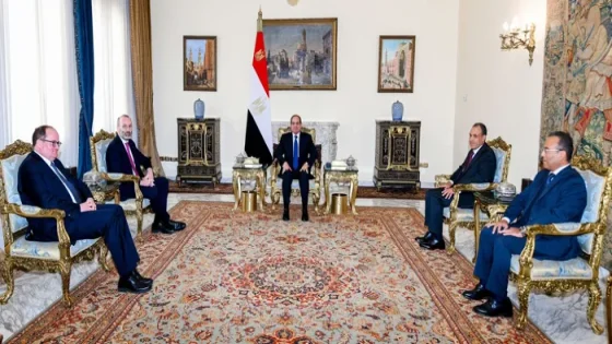الرئيس المصري: حل الدولتين سبيل تحقيق السلام والاستقرار في المنطقة
