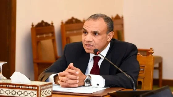 وزير خارجية مصر يحذر من جر المنطقة إلى حرب إقليمية تداعياتها خطيرة