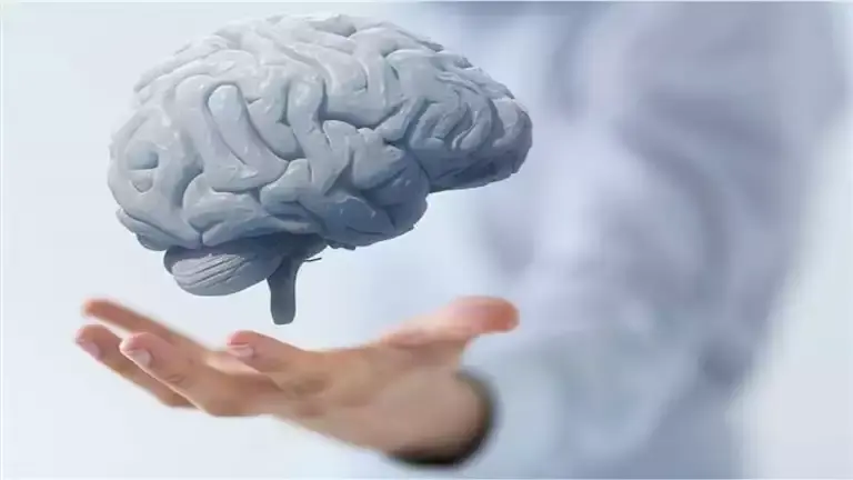 4 أغذية تحارب شيخوخة الدماغ.. احرص عليها