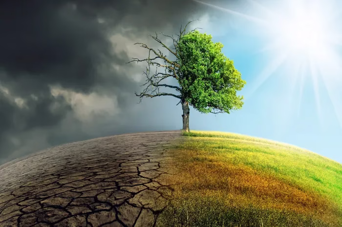 الملابس والحيوانات والنقل.. طرق إنقاذ كوكب الأرض في 2025