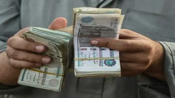 منحة رمضان 2025 للحصول على 1000 جنيه: رابط التقديم وموعد الصرف