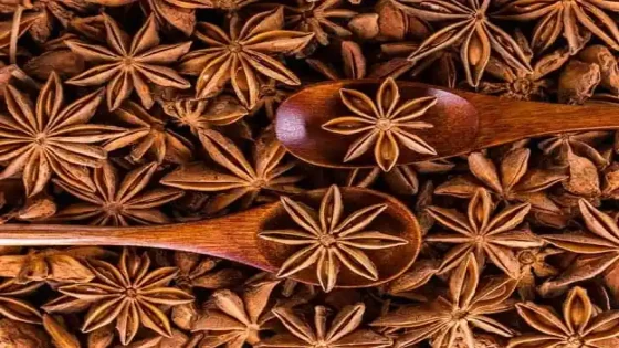 ما هى اضرار اليانسون
