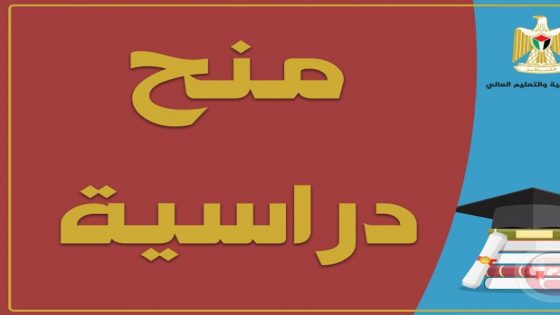 whatsapp image at pm jpeg wm