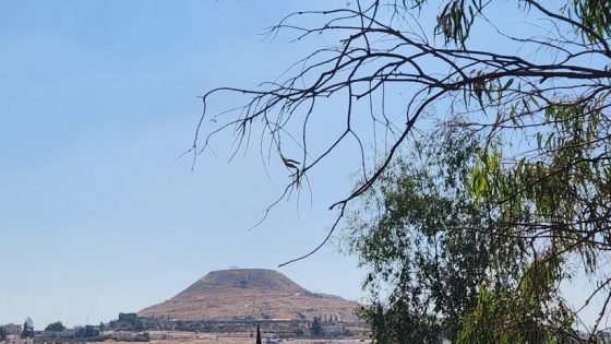 الطقس: أجواء صيفية حارة