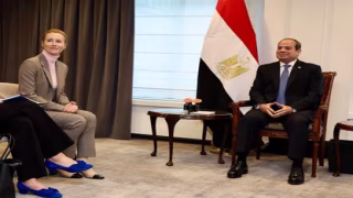 مصر تبحث مع الاتحاد الأوروبي تثبيت وقف إطلاق النار في غزة