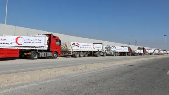 الهلال الأحمر المصري: إرسال أكثر من 11 ألف طن مساعدات غذائية وطبية وشتوية إلى غزة