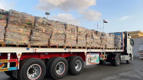 الهلال الأحمر المصري يدفع اليوم بأكثر من 12 ألف طن مساعدات إلى غزة