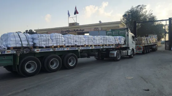 Egyptian Red Crescent lorries with humanitarian aid line up near the Rafah border crossing between Egypt and the Gaza Strip, amid the ongoing conflict between Israel and Hamas, in Rafah, Egypt, July 29, 2025. REUTERS/Stringer