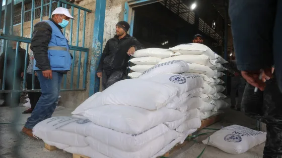 مجمع الروابط الرسمية للمساعدات وتحديث البيانات وخدمات فحص الغاز في قطاع غزة