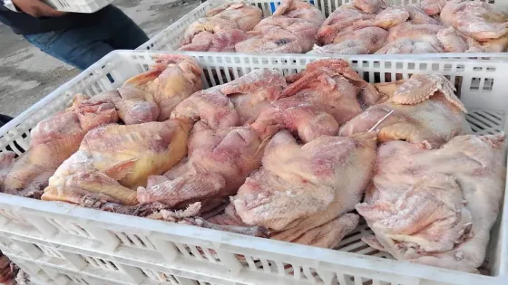  “مباحث التموين” برفح تضبط 29 طنًا من الدجاج المجمد مخالفًا للتسعيرة