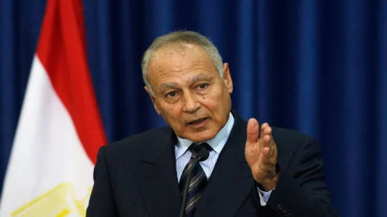 أبو الغيط يوجه رسالة لحاملي السلاح في قطاع غزة..مافحواها