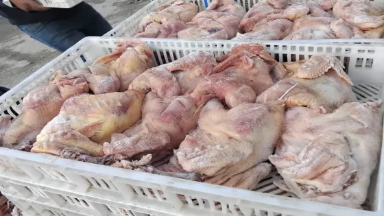 “مباحث التموين” تُتلف 2500 كغم من المجمدات الفاسدة بخانيونس