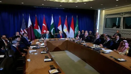 8 دول عربية وإسلامية تُصدر بيانا مشتركا بشأن غزة