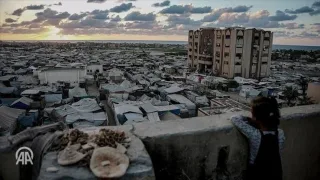 53 منظمة دولية غير حكومية تحذر من الإجراءات الإسرائيلية الأخيرة