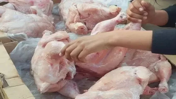 وسط تفشي إنفلونزا الطيور.. دعوات لتشديد الفحص على الدواجن المستوردة إلى غزة
