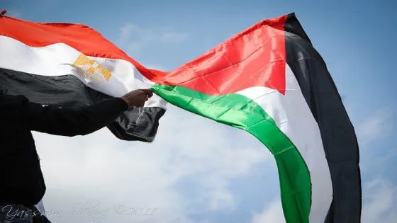 مباحثات مصرية قطرية فلسطينية بشأن المرحلة الثانية بغزة