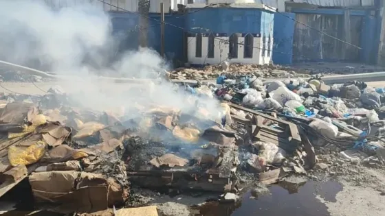 “مباحث التموين” تُحرر 65 محضر إتلاف وتُتلف 685 طنًا من مواد غذائية فاسدة في غزة