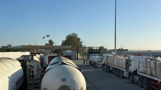 الهلال الأحمر المصري يواصل دعمه لمرضى غزة ويسير قافلة «زاد العزة» 135 بأكثر من 7 آلاف طن مساعدات