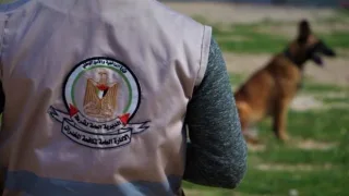 غزة: ضبط مواد مخدرة خلال محاولة تهريب في رفح