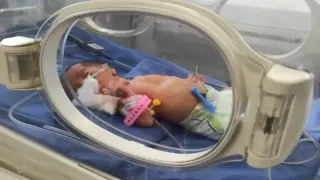 إحصائية مواليد غزة خلال فبراير تتخطى حاجز الـ 3 آلاف