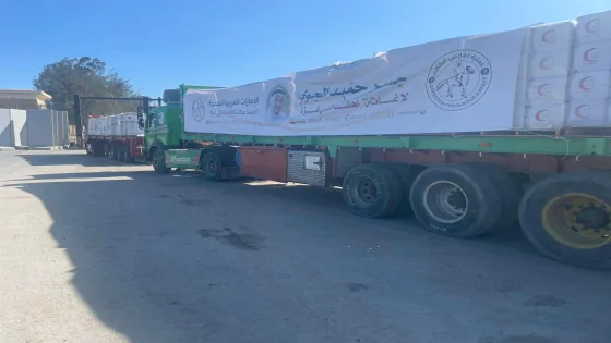عبور قافلة مساعدات إماراتية من معبر رفح إلى كرم أبو سالم تمهيدا لدخولها غزة