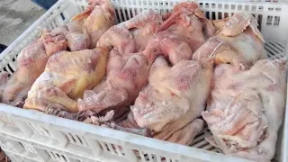 غزة : الغرفة التجارية تصدر بياناً جديداً بشأن قضية الدجاج الفاسد