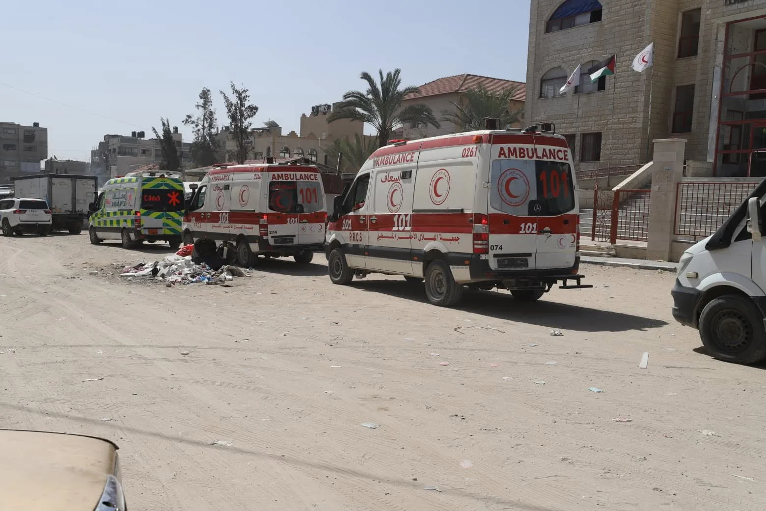 41 IMG 7386 - رفح نيوز الآن Rafah Now