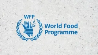 برنامج الأغذية العالمي يفتح باب التقديم لوظائف شاغرة في قطاع غزة
