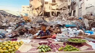 وزارة الزراعة تواصل جهودها لخفض أسعار المنتجات الزراعية في قطاع غزة