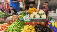 زراعة غزة توضح أسباب غلاء بعض المحاصيل الزراعية في الأسواق