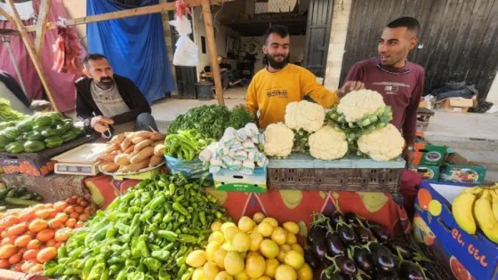 زراعة غزة توضح أسباب غلاء بعض المحاصيل الزراعية في الأسواق