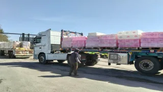 استمرار تدفق شاحنات المساعدات من معبر رفح البري إلى كرم أبو سالم لدعم غزة