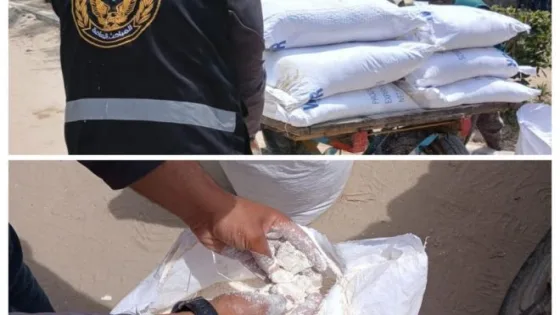 مصادرة 700 كغم من «الدقيق الفاسد» في خان يونس وإتلافه بشكل كامل