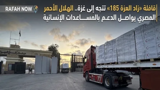 قافلة «زاد العزة 185» تتجه إلى غزة.. الهلال الأحمر المصري يواصل الدعم بالمساعدات الإنسانية