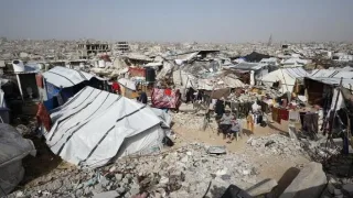 الأمم المتحدة تستعد لتنفيذ خطة شاملة لمكافحة القوارض والحشرات في غزة