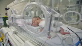 إحصائية: قطاع غزة يُسجّل 1797 مولوداً جديداً خلال شهر أبريل المنصرم