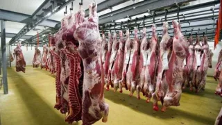 التنمية بغزة توضح آليات توزيع المساعدات ولحوم الأضاحي