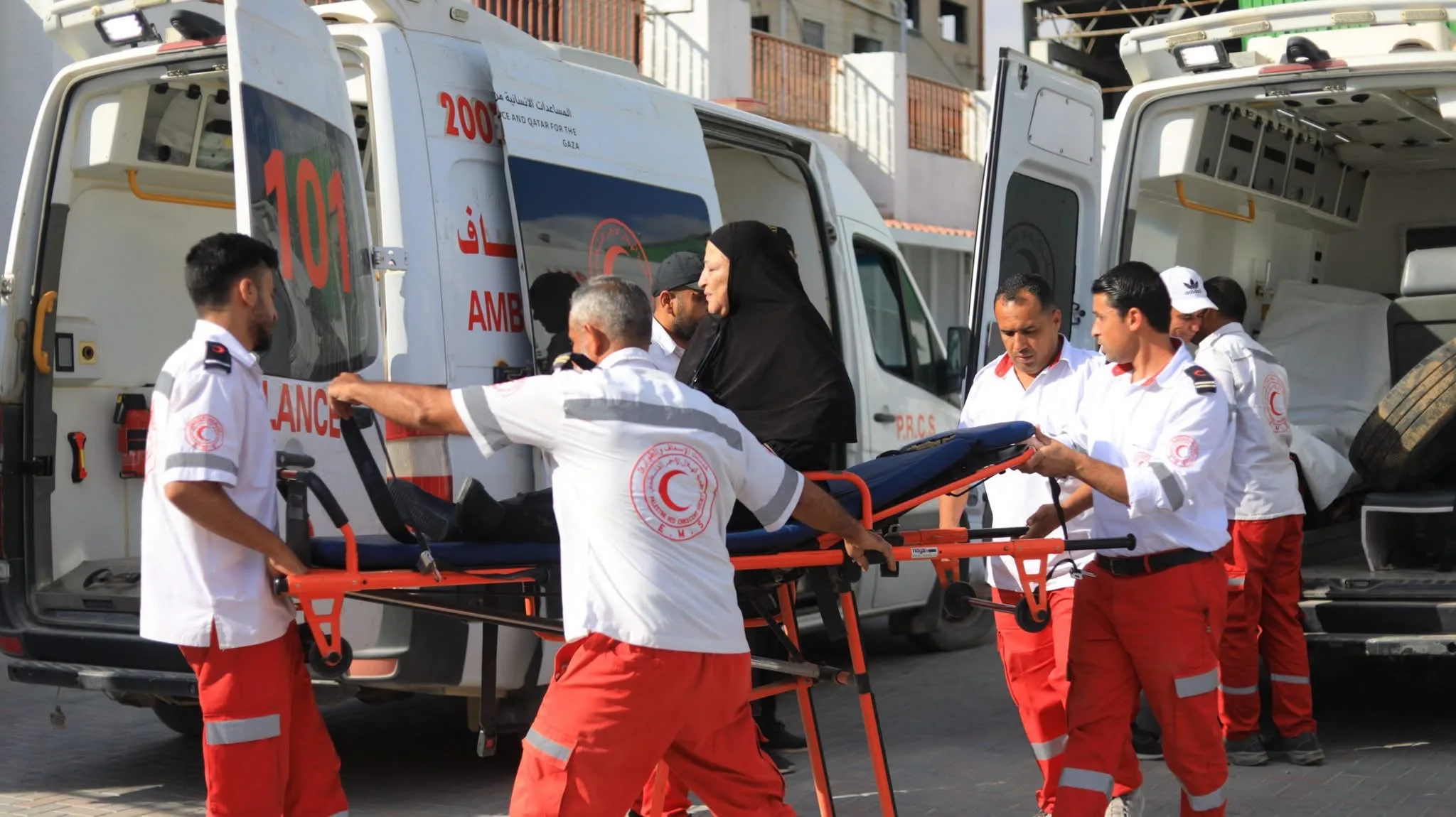 IMG 0208 - رفح نيوز الآن Rafah Now