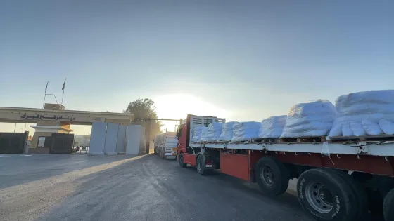 الهلال الأحمر المصري يطلق قافلة «زاد العزة» 224 إلى غزة بأكثر من 3 آلاف طن من المساعدات