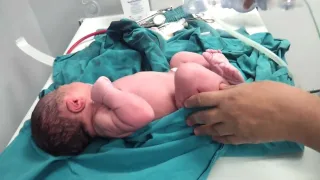 خلال شهر واحد.. تسجيل 1701 مولود جديد في غزة