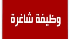 جمعية أطفال العالم التركية تفتح باب التقديم لوظائف الدعم النفسي والاجتماعي في غزة