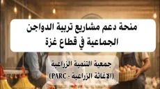 رابط التسجيل في منحة دعم مشاريع تربية الدواجن الجماعية في قطاع غزة 2026
