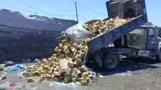 الاقتصاد بغزة: إتلاف 13.5 طن من الدجاج بالمحافظة الوسطى