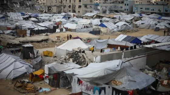 الأشغال العامة: تجهيز 23 مركز إيواء جديد في غزة لنحو 20 ألف خيمة